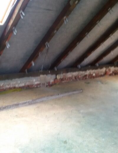 Przed ociepleniem - Kaniów